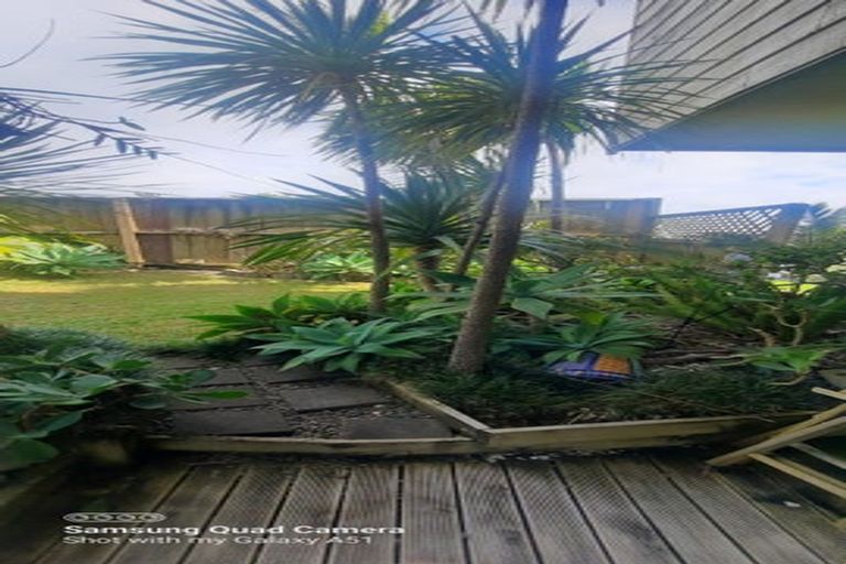 Photo of property in 248 Molesworth Drive, Mangawhai Heads, Mangawhai, 0505