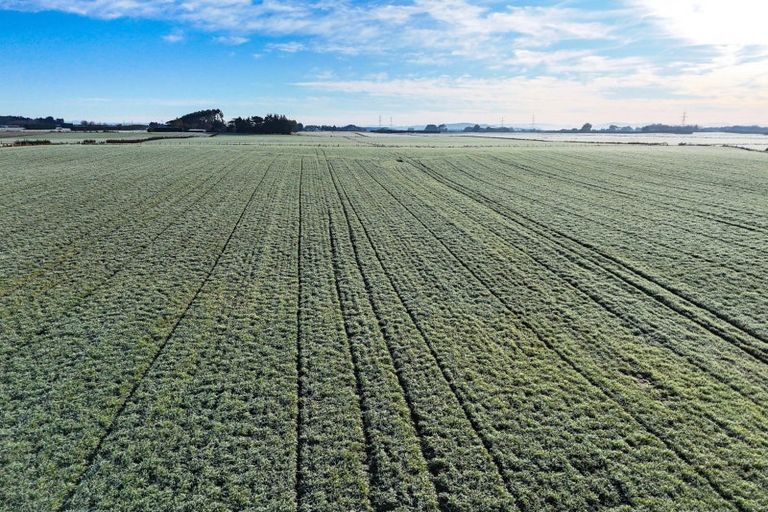 Photo of property in 330 Pomona Road East, Makarewa, Invercargill, 9876