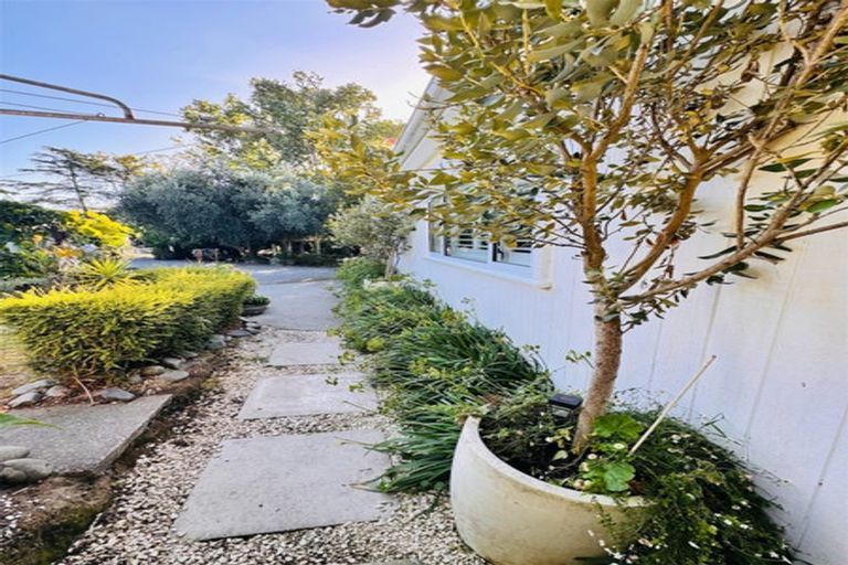 Photo of property in Long Cottage Gallery, 145 Iona Road, Havelock North, 4130