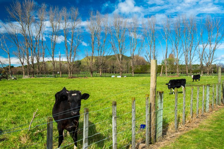 Photo of property in 52 Hamilton Drive, Wainui, Gisborne, 4010