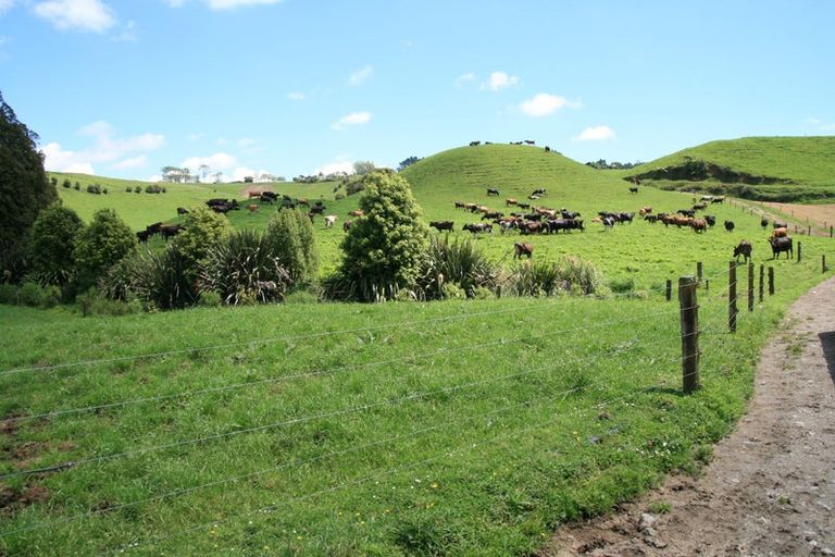 Photo of property in 1234 Richmond Road, Everett Park, Inglewood, 4389