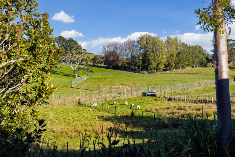 Photo of property in 979 Kaipara Flats Road, Kaipara Flats, Warkworth, 0984