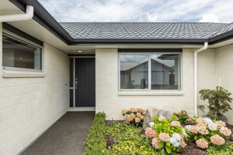 Photo of property in 14 Rangataiki Place, Te Awa, Napier, 4110