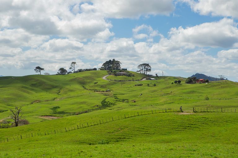 Photo of property in 200 Ingleton Road, Wellsford, 0972
