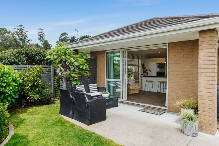 Photo of property in 40 Mervyn Place, Ohauiti, Tauranga, 3112