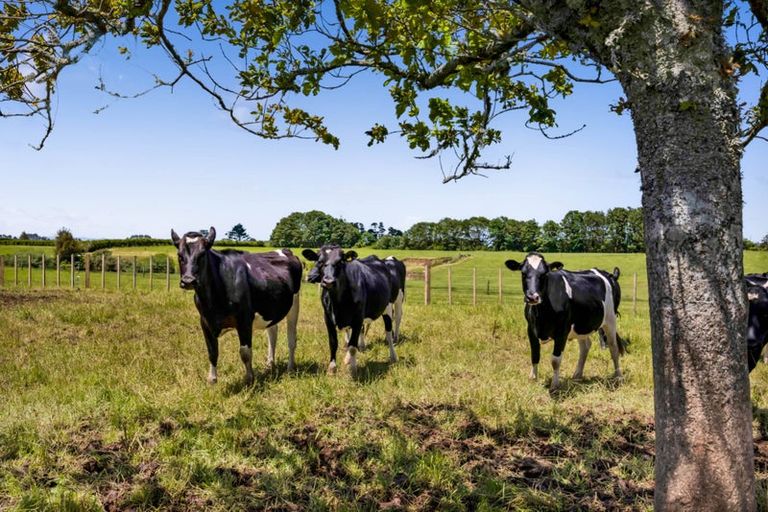 Photo of property in 198 Beaconsfield Road, Midhirst, Stratford, 4394