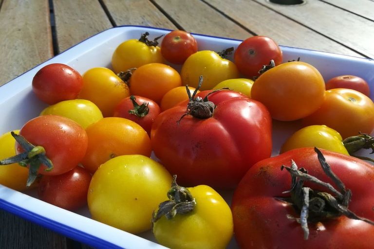 Photo of property in 20 Fairview Terrace, Sawyers Bay, Port Chalmers, 9023