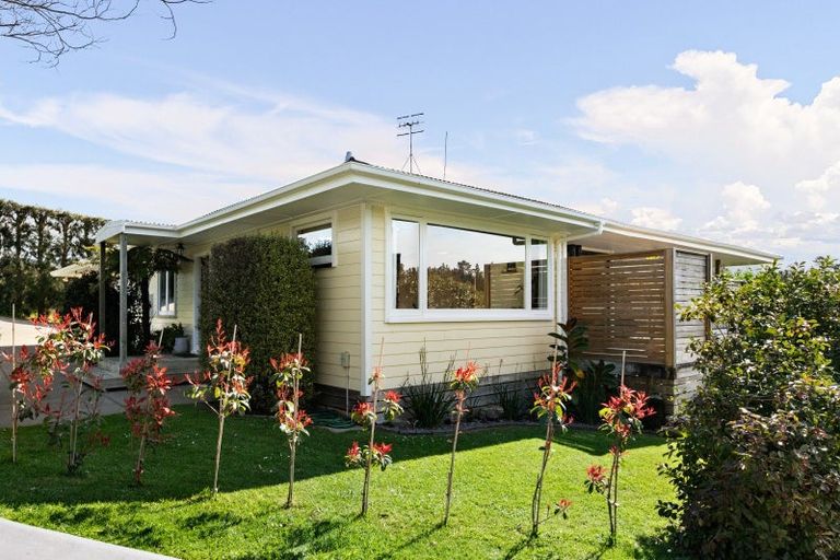 Photo of property in 68 Church Street, Katikati, 3129