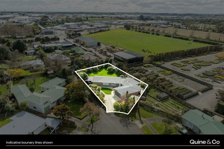 Photo of property in 9 Patea Place, Terrace End, Palmerston North, 4410