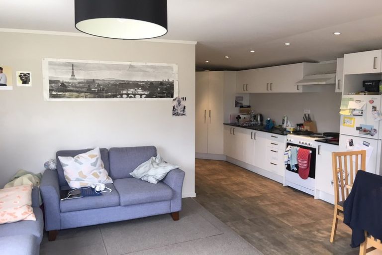 Photo of property in 46 Ivanhoe Road, Grey Lynn, Auckland, 1021