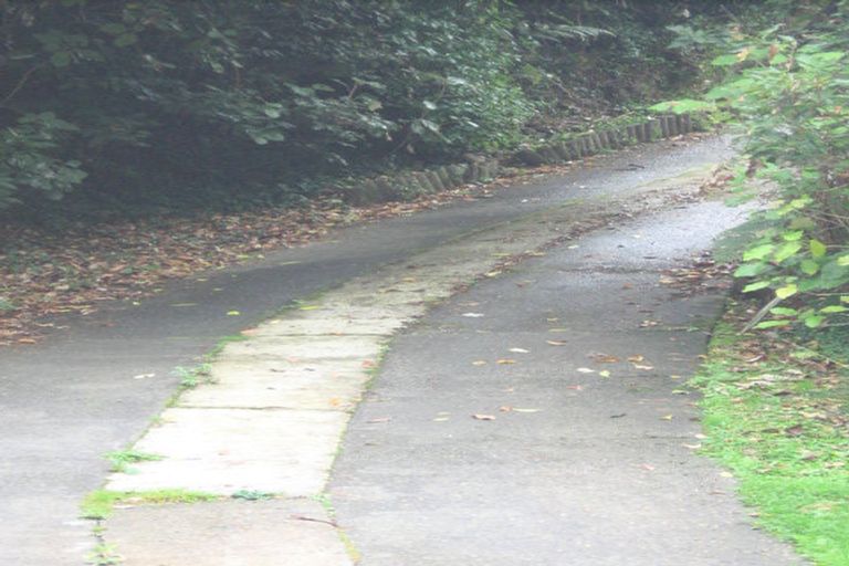 Photo of property in 24 Wyndham Road, Pinehaven, Upper Hutt, 5019