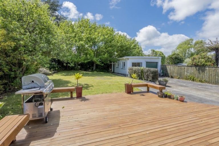 Photo of property in 10 Read Street, Levin, 5510