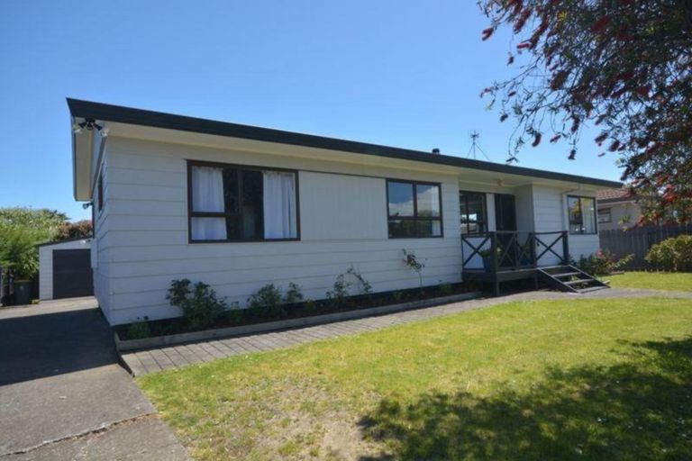 Photo of property in 163 Finlayson Avenue, Clendon Park, Auckland, 2103