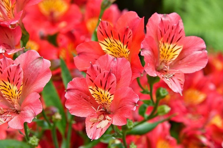 Photo of property in 516 Hibiscus Coast Highway, Hatfields Beach, Orewa, 0931