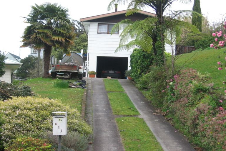 Photo of property in 611 Augustus Street North, Thames, 3500