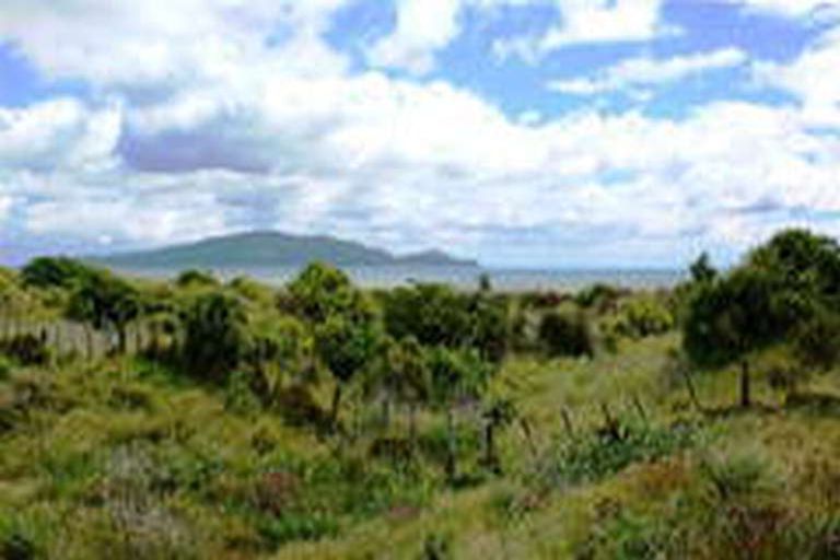 Photo of property in 180 Paetawa Road, Peka Peka, Waikanae, 5391