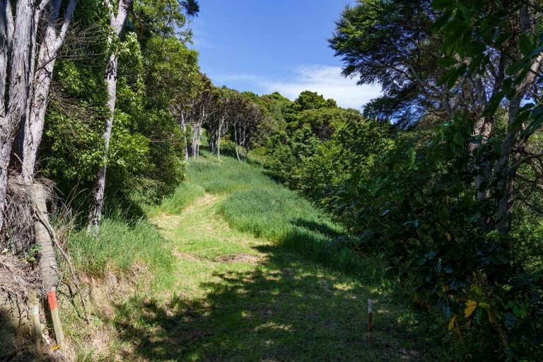 Photo of property in 24 Fred Hollows Way, Glenleith, Dunedin, 9010