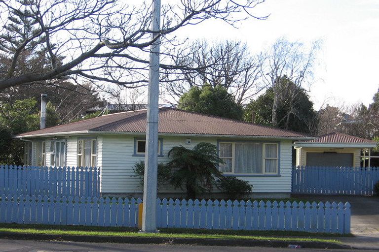 Photo of property in 465 Ruahine Street, Terrace End, Palmerston North, 4410