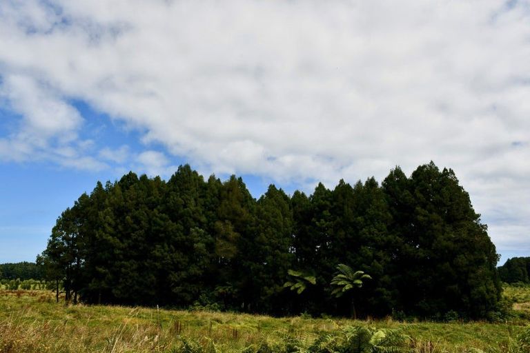 Photo of property in 216 Kongahu Swamp Road, Little Wanganui, Karamea, 7893