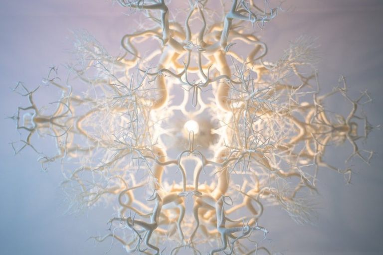 Photo of property in 99 Pirie Street, Mount Victoria, Wellington, 6011