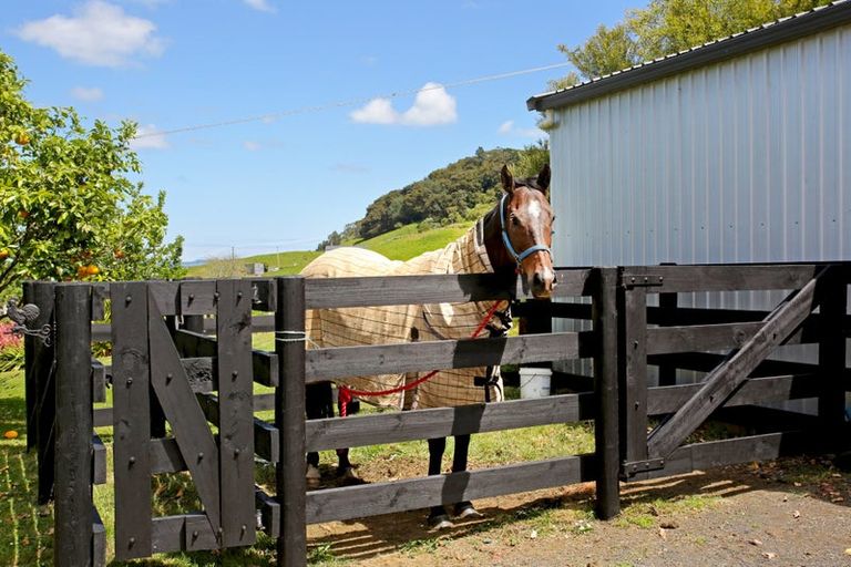 Photo of property in 192d Wily Road, Puni, Pukekohe, 2678
