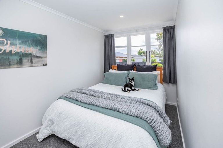 Photo of property in 194 Clarkin Road, Fairfield, Hamilton, 3214