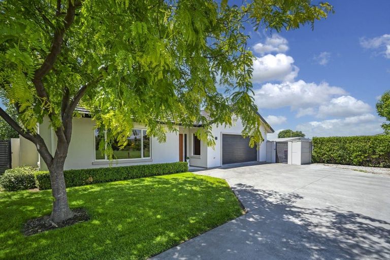 Photo of property in 55 Northwood Avenue, Mahora, Hastings, 4120