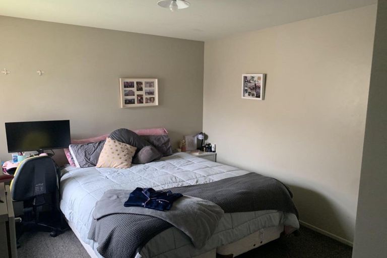 Photo of property in 22a Brocas Avenue, Hillcrest, Hamilton, 3216