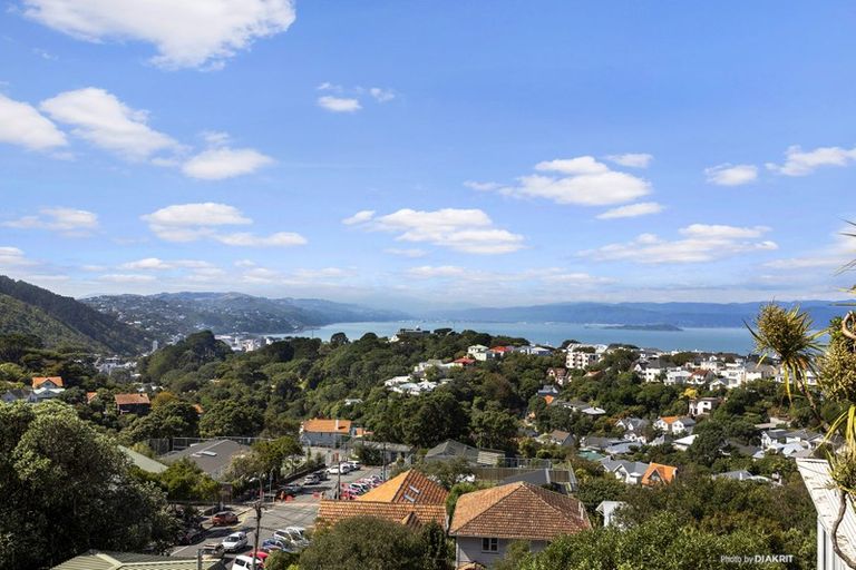 Photo of property in 16 Plunket Street, Kelburn, Wellington, 6012