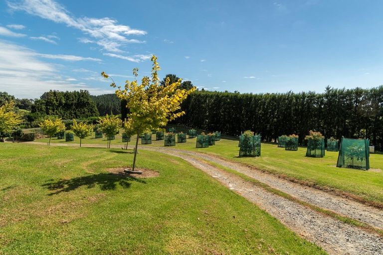 Photo of property in 84 Plummer Road, Whakamarama, Tauranga, 3179