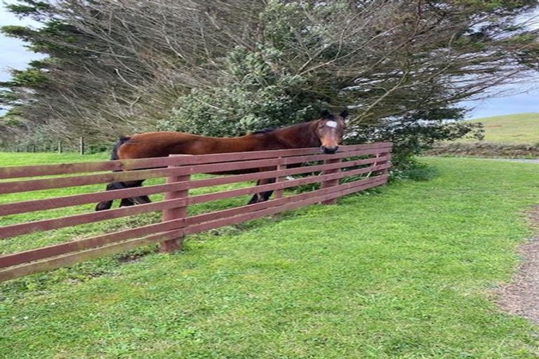 Photo of property in 286 Rehutai Road, Baylys Beach, Dargaville, 0377