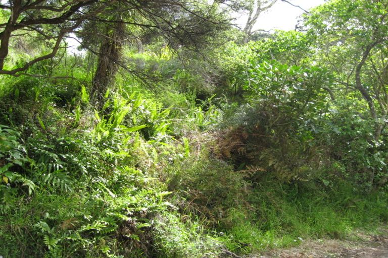 Photo of property in 56 Garden Road, Piha, 0772