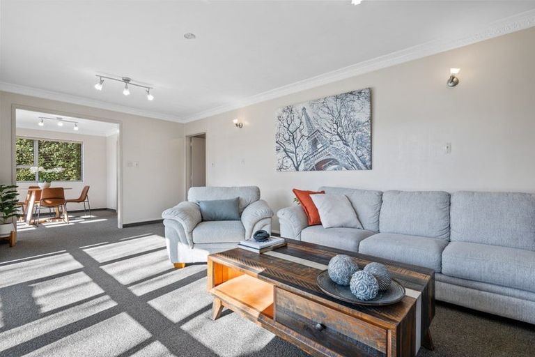 Photo of property in 22 Lakings Road, Springlands, Blenheim, 7201