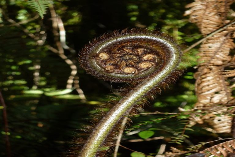 Photo of property in 74 Wangapeka Road, Little Wanganui, Karamea, 7893