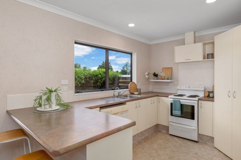 Photo of property in 1436b Cameron Road, Greerton, Tauranga, 3112