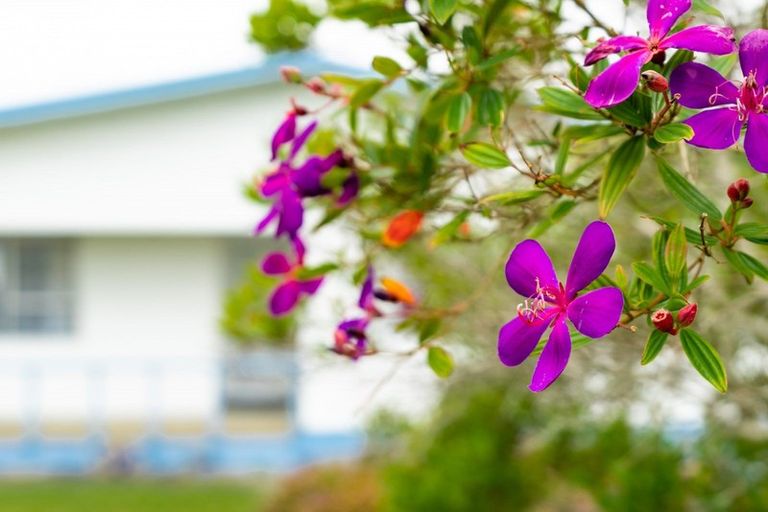 Photo of property in 12a Second Avenue, Dargaville, 0310