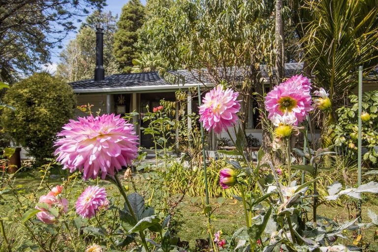 Photo of property in 133 Consols Street, Waihi, 3610