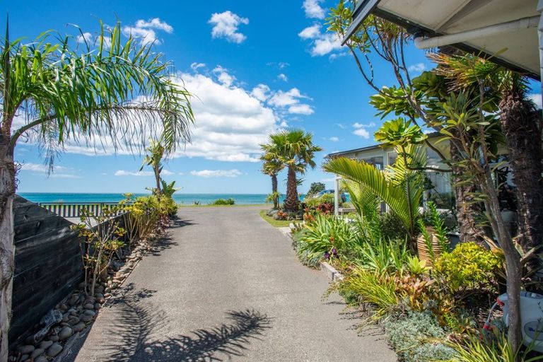 Photo of property in 221 Whirinaki Road, Eskdale, Napier, 4182