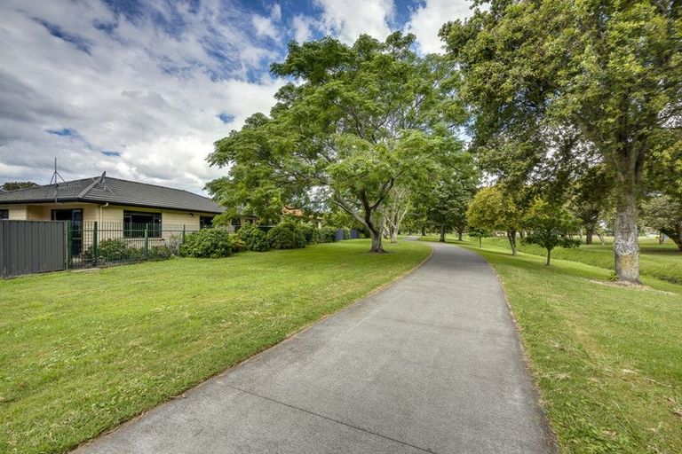 Photo of property in 64a Tom Parker Avenue, Marewa, Napier, 4110