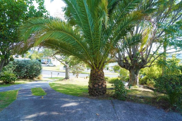 Photo of property in 21 Hilltop Avenue, Morningside, Whangarei, 0110