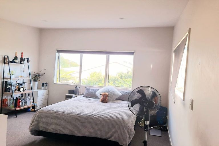 Photo of property in 101 Ireland Road, Mount Wellington, Auckland, 1060