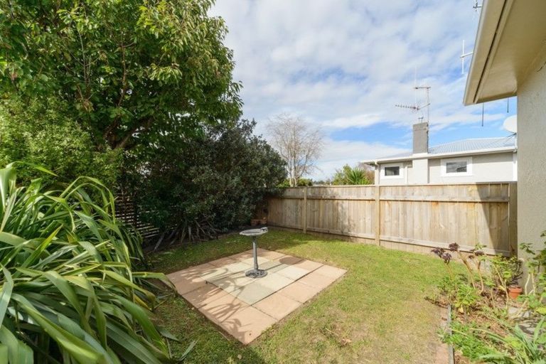 Photo of property in 21 Salisbury Avenue, Terrace End, Palmerston North, 4410