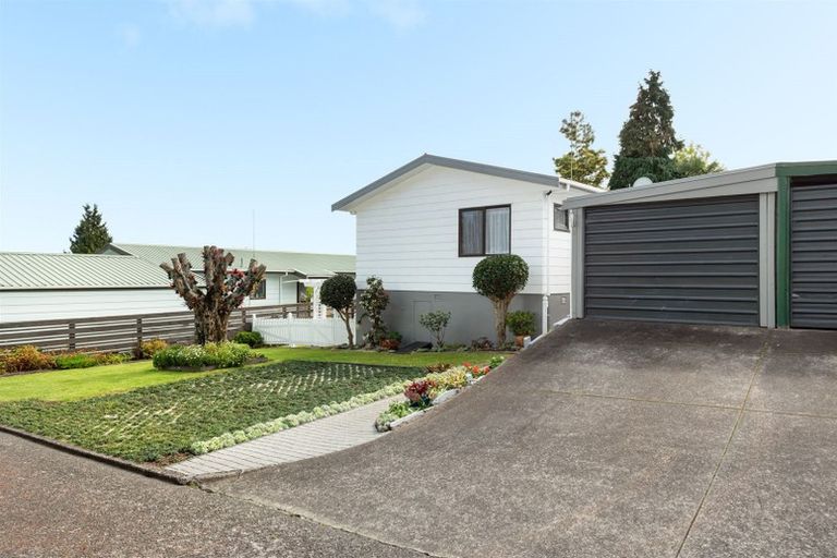 Photo of property in 7 Luke Street, Brookfield, Tauranga, 3110