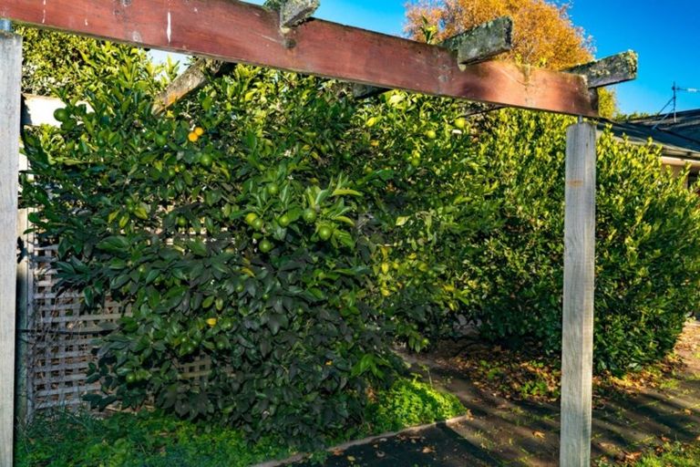 Photo of property in 10 Sandhill Road, Woodend, Kaiapoi, 7691