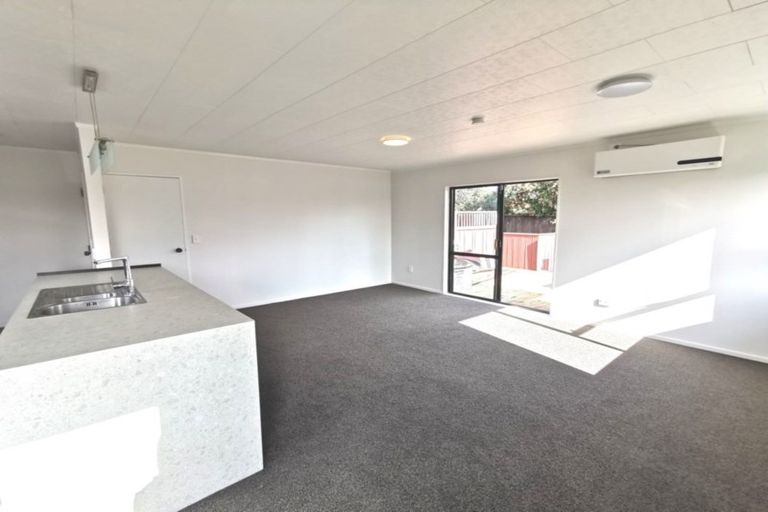 Photo of property in 98a Mako Mako Road, Levin, 5510