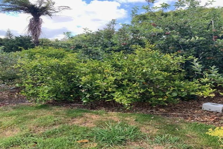 Photo of property in 289 Upland Road, Tarurutangi, New Plymouth, 4372