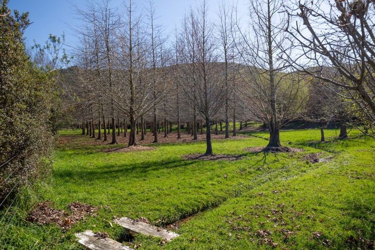 Photo of property in 35 Hollyman Road, Hira, Nelson, 7071