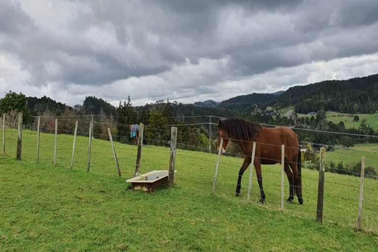 Photo of property in 225 Vinegar Hill Road, Kauri, Kamo, 0185