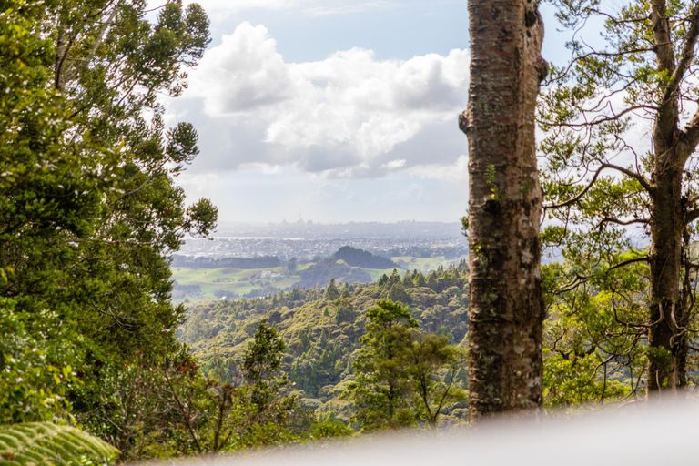 Photo of property in 136 Opanuku Road, Henderson Valley, Auckland, 0612