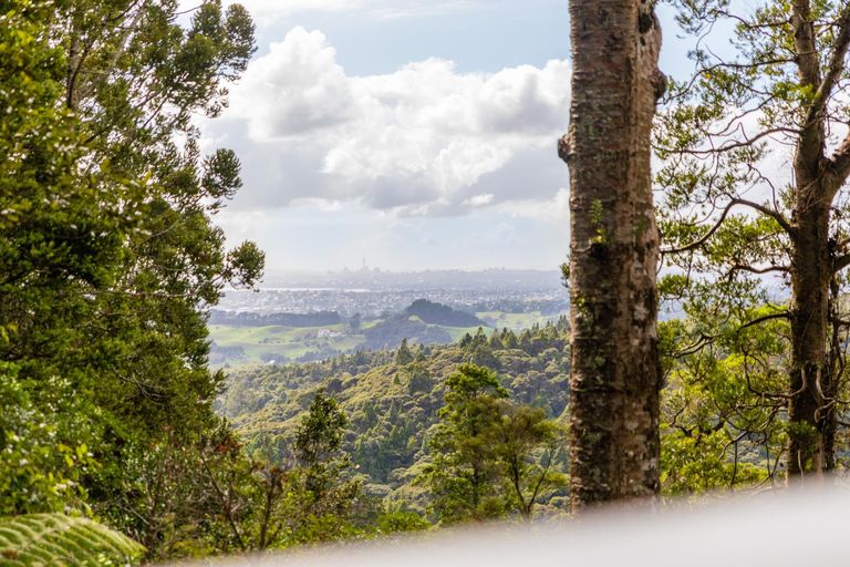 Photo of property in 136 Opanuku Road, Henderson Valley, Auckland, 0612